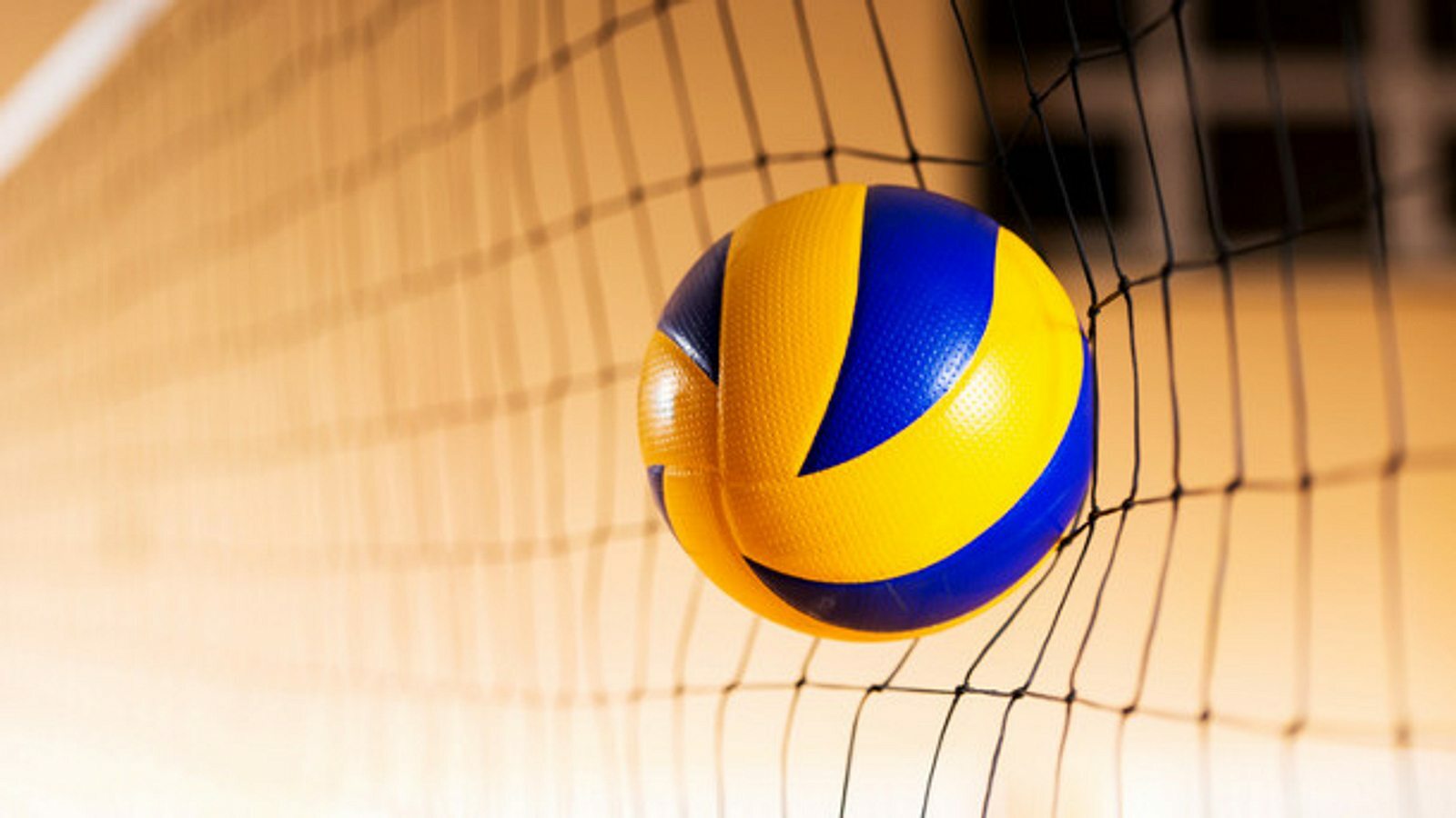 Austrian Volleyball League - Negotiations successfully concluded